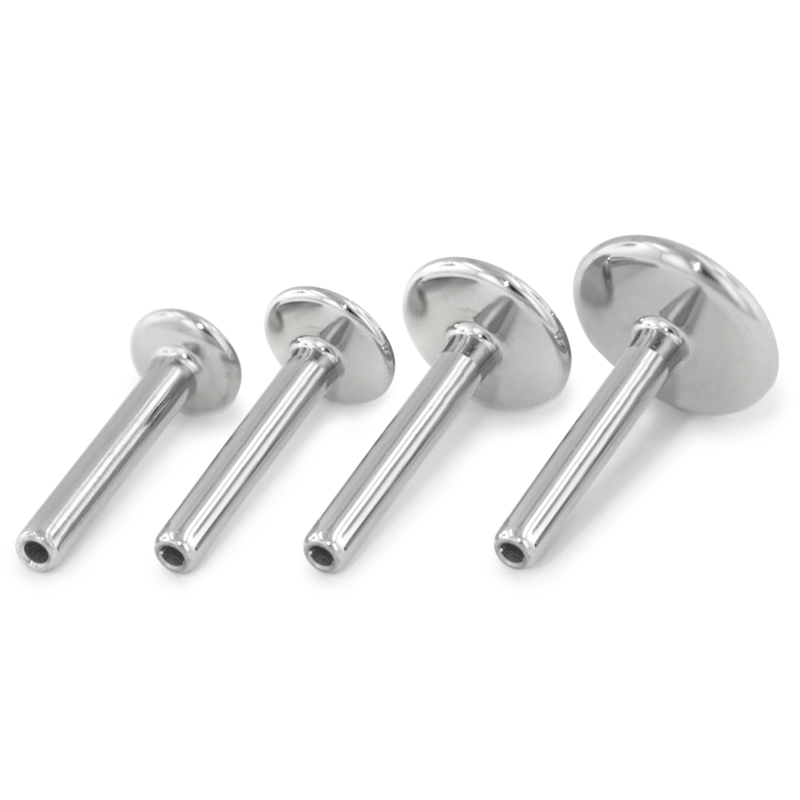 Set of five silver labrets on a white background